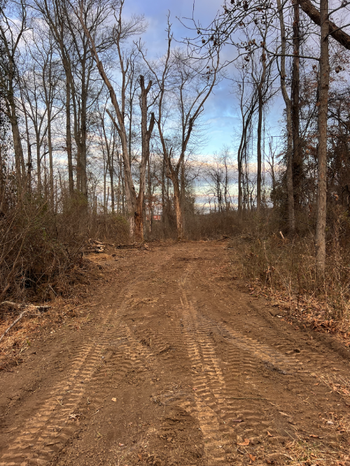 Project 10 site preparation