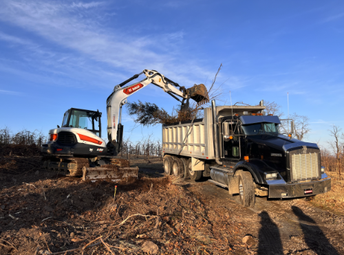 Project 13 brush and debris clearing