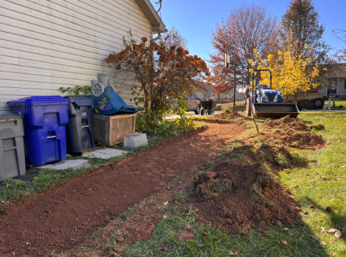 Project 5 brush clearing